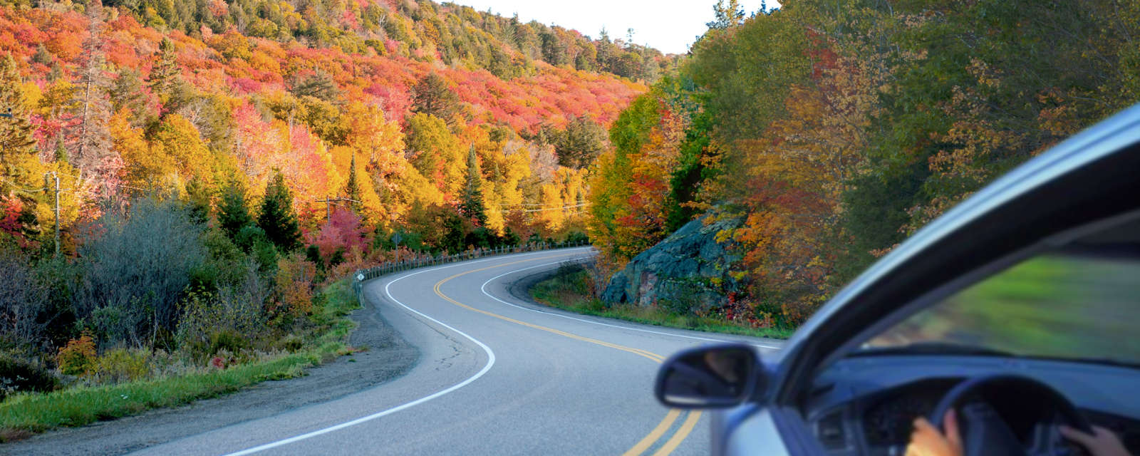 car driving along a winding road with colourful trees in background
